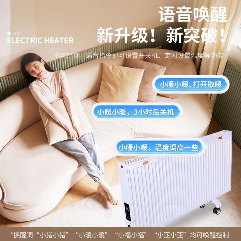 板式注水电暖器免加水电暖气片水电一体机水循环电暖器加水暖气片