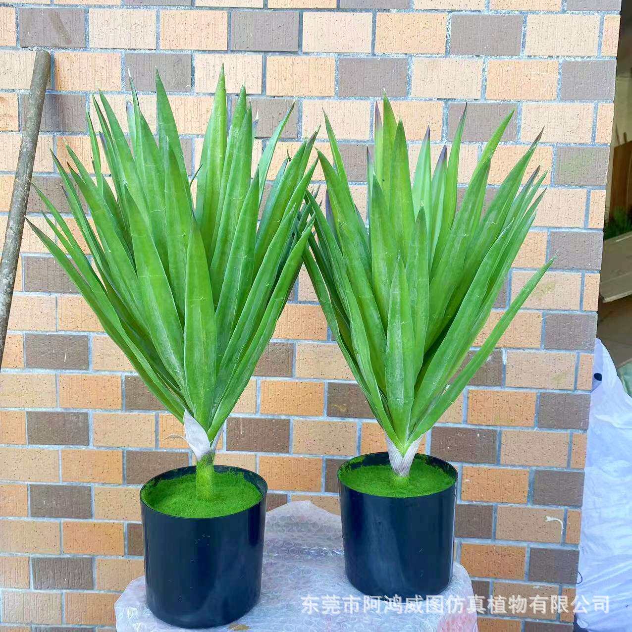 仿真剑麻植物龙舌兰盆栽客厅摆件橱窗装饰真绿植造景龙血树高仿真