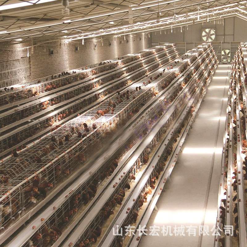 肉鸡H型笼养殖笼多层镀锌肉鸡A型笼鸡笼层叠式鹌鹑笼蛋鸡笼鸽子笼