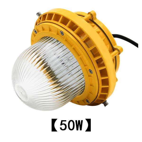 2019led防爆泛光灯吸顶20w仓库厂房天棚隧道隔爆平台护栏灯具50W