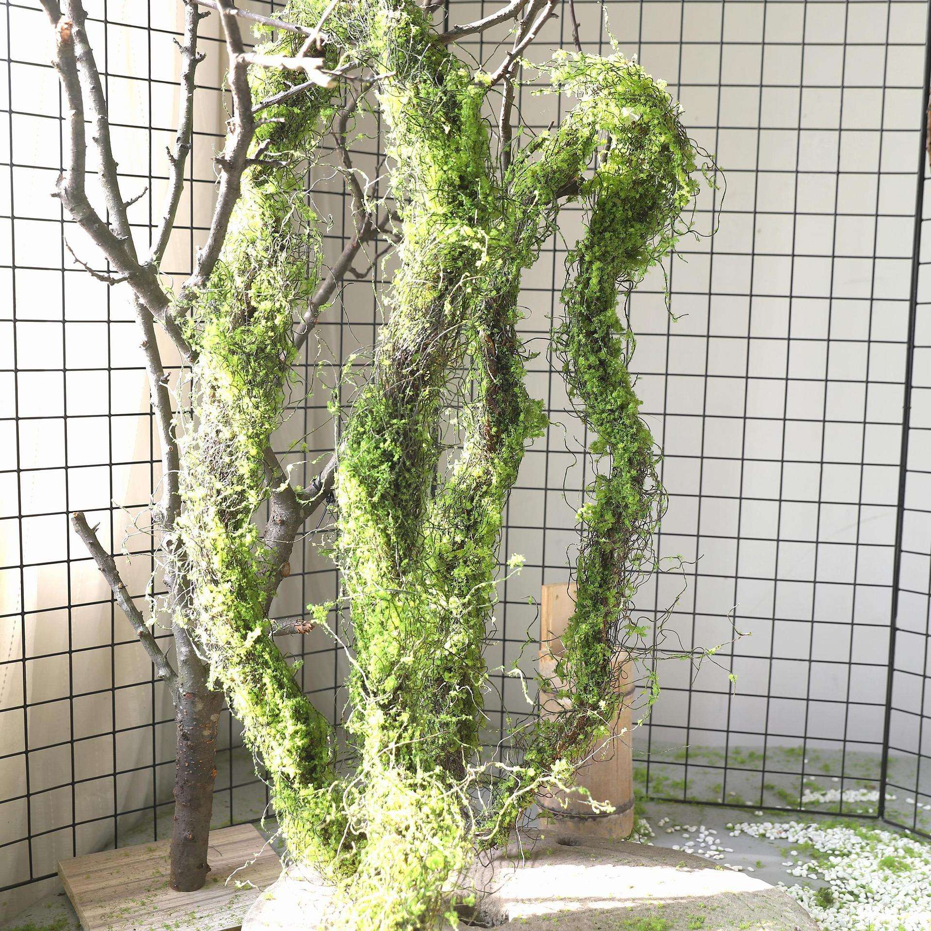 树藤树枝杈榕须攀爬摆放青苔枯藤假苔藓造景森系壁挂花艺装饰