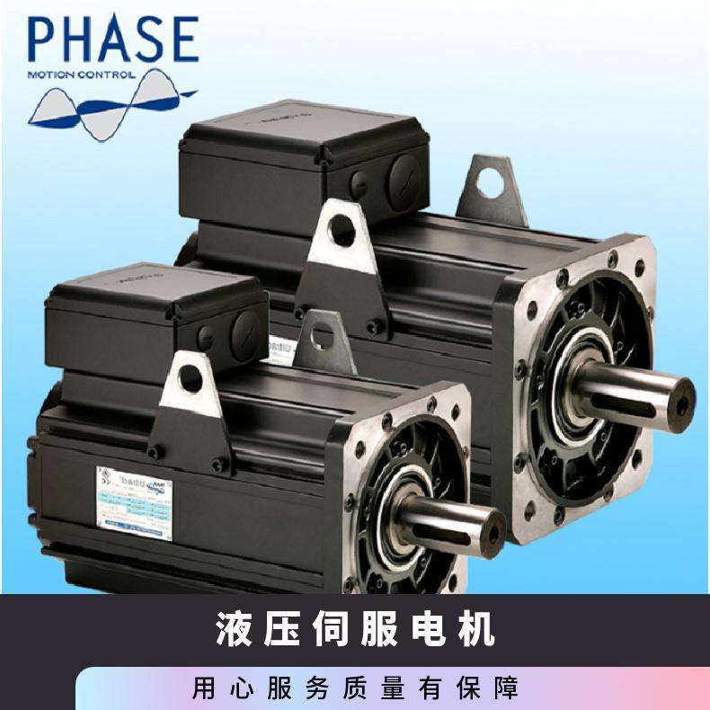 PHASE菲仕 U31005F15.3 液压伺服电机同步马达