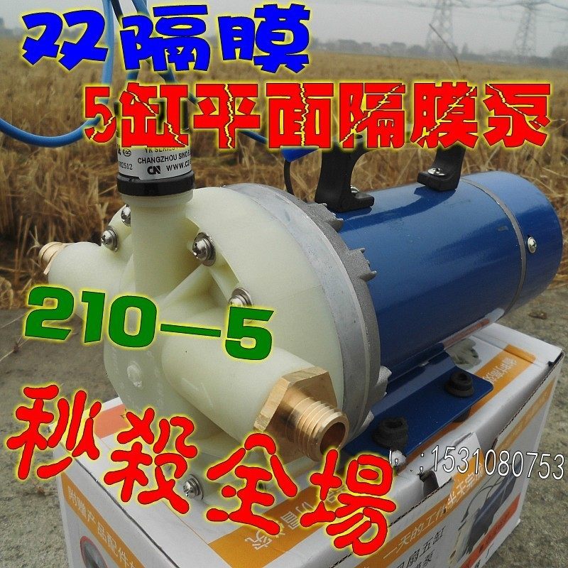 丰达12V24V48V60V直流洗车泵车载小型清洗机静音隔膜泵大功率高压