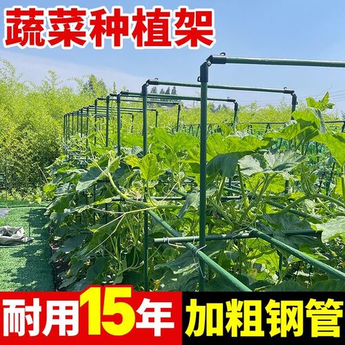 爬藤架黄瓜葡萄架豆角架花架丝瓜种菜阳台支架庭院户外植物支撑杆