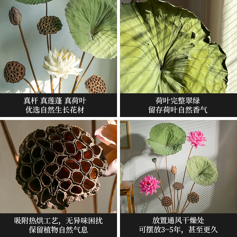 莲蓬干花花束客厅摆设装饰摆件高级感新中式禅意高花瓶插花长枝