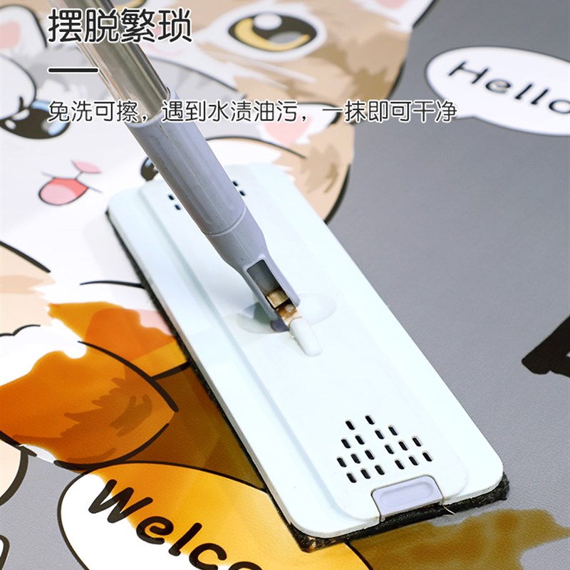 地垫入户门垫pvc可擦免洗懒人进门门口脚垫卡通皮革进户玄关地毯