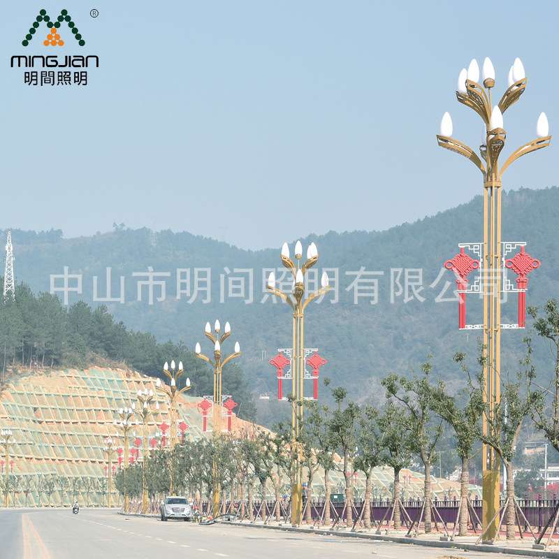 工程直销户外中式玉兰灯 8米9米10米五叉四火LED中华路灯景观灯