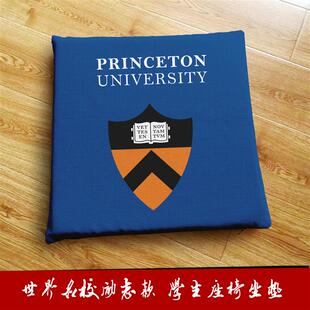 普林斯顿大学周边定制纪念品学生座椅垫子凳子地垫坐垫柔软屁垫