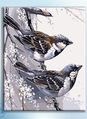 diy数字油画手动物鸟工礼物客厅挂画手绘填色解压画装饰画 鹦鹉