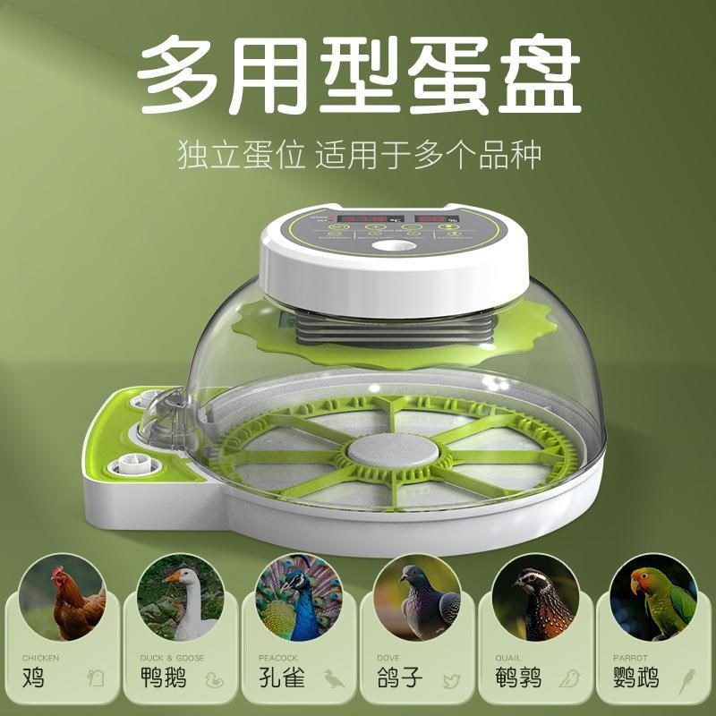 鸡蛋孵化神器小型家用全自动智能鸟鸭鹅玄凤鹦鹉芦小鸡孵蛋孵化箱
