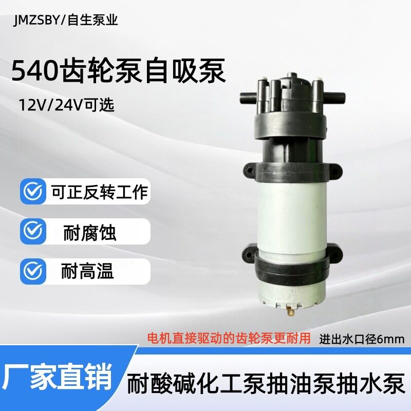 540齿轮泵12V自吸泵耐高温化工泵循环抽油水泵24V微型高压叶轮泵