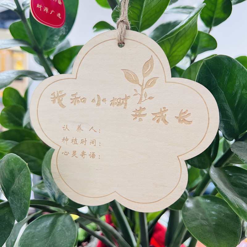 10片定 做木质挂牌 学校植树节吊牌 树木认养牌 植物标签牌