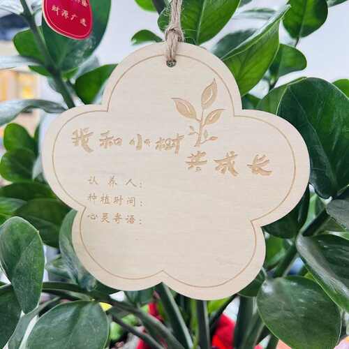 10片定 做木质挂牌 学校植树节吊牌 树木认养牌 植物标签牌