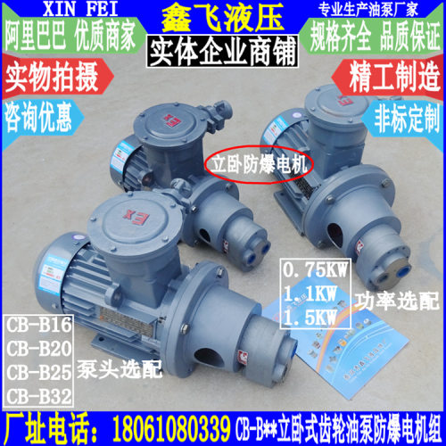 CB-B16JZB20JZB25JZB32JZ立卧式齿轮油泵防爆电机组装置