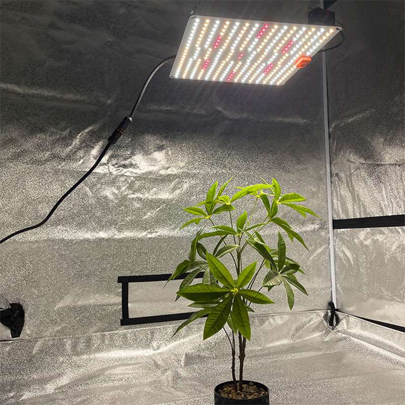 量子板植物补光灯100W 200W 300W仿太阳全光谱花卉led植物生长灯图片