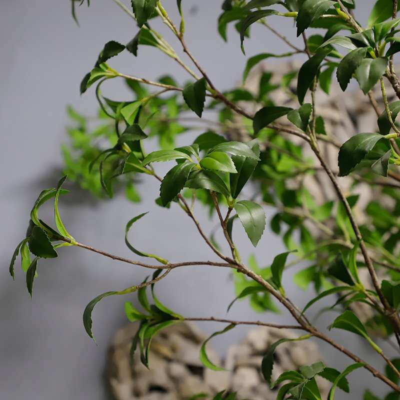 仿真马醉木假植物盆栽小型假树室内盆景装饰 塑胶杆假绿植仿真树