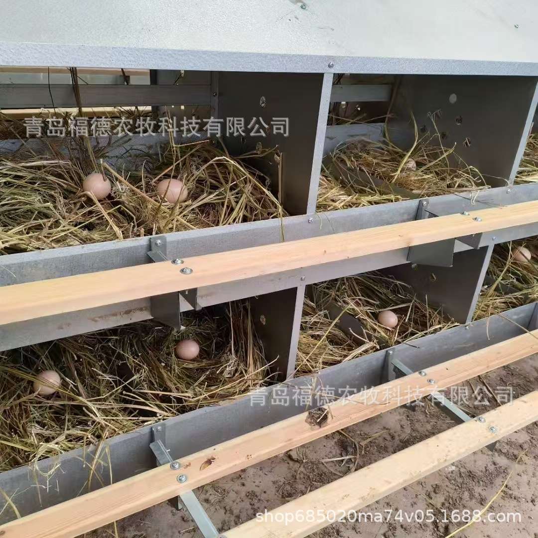 种鸡产蛋箱 母鸡下蛋箱子 24窝12窝产蛋窝 母鸡下蛋箱