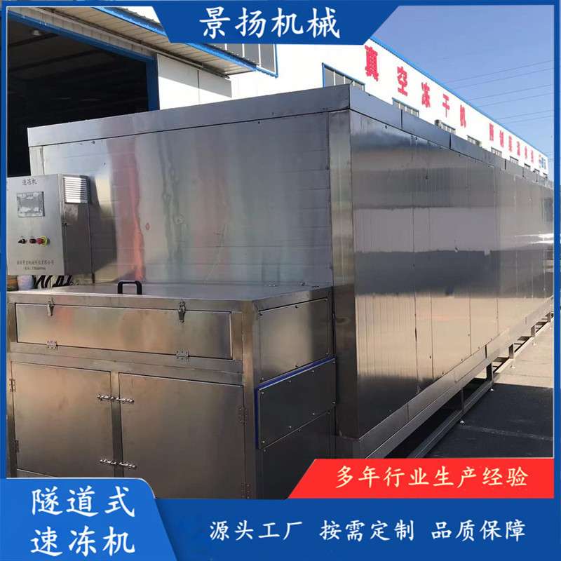 肉串丸子隧道式速冻机 商用大型生耗冷冻设备 海参速冻流水线