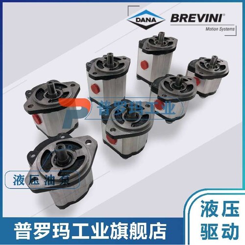 BREVINI油泵OT200P08D/P28P2 G28 B25B2 B23 B25B4 B5 B24B6 B7