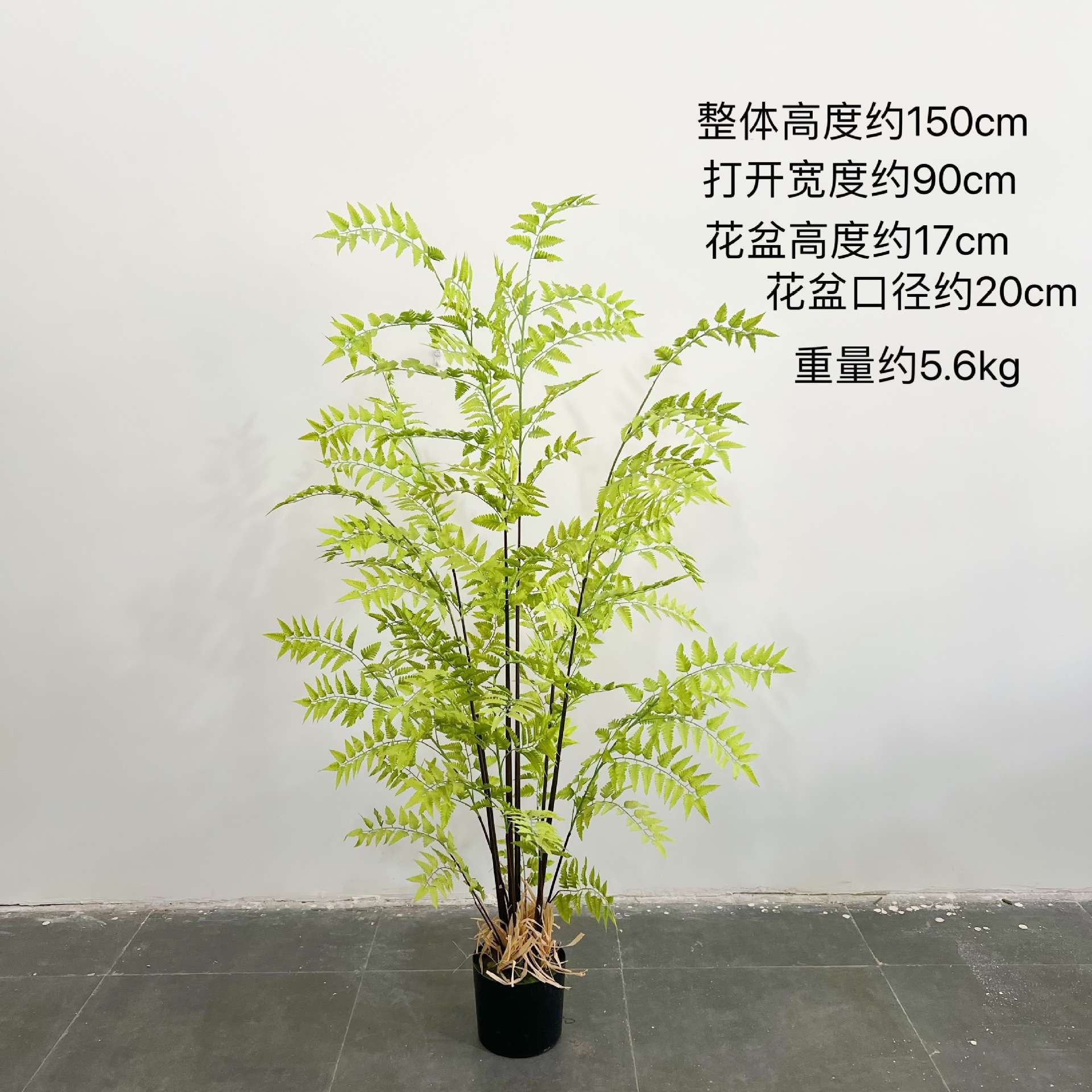 绿植羊齿蕨落地盆栽室内大型仿真植物摆件客厅蕨类植物工程造景