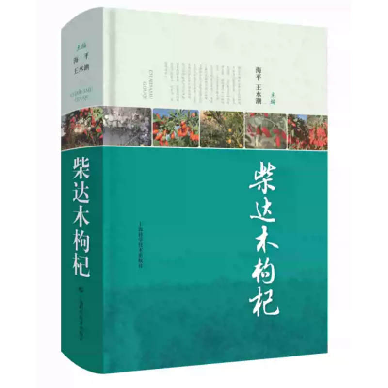 柴达木枸杞