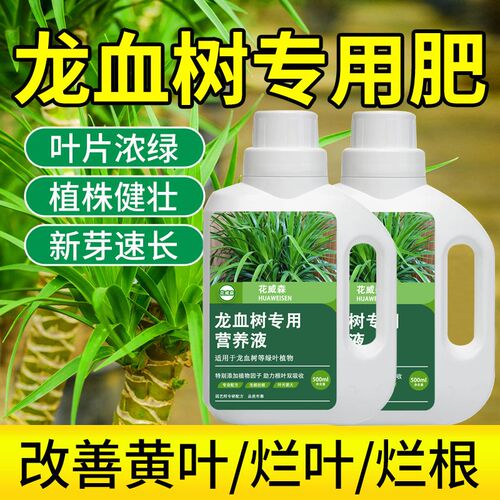 龙血树龙须树专用肥营养液盆栽植物室内绿植养花花肥通用型水溶肥
