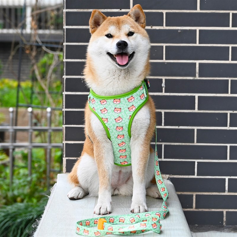 芮柴 宠物狗狗绿色唐草纹柯基法斗柴犬胸背牵引绳胸抱婴袋遛狗绳