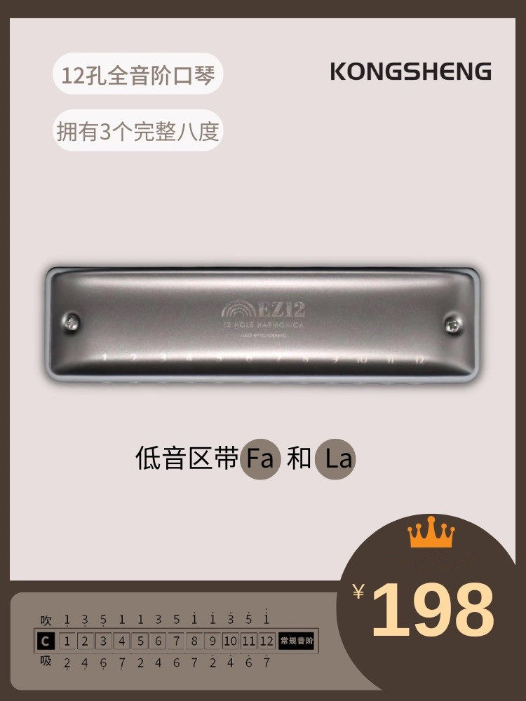 孔声12孔全音阶布鲁斯口琴初学入门初学推荐适合民谣吹奏口琴乐器