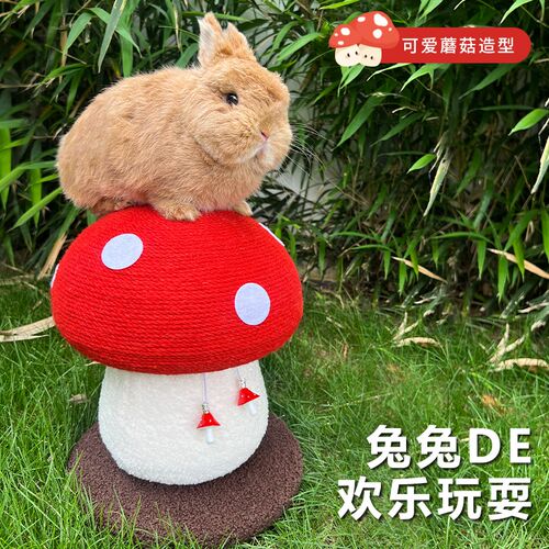 兔子磨爪兔子玩具蘑菇造型磨爪神器解闷玩具宠物玩具耐咬耐磨发泄
