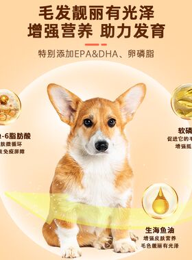 柯基专用狗粮20斤装防掉毛小型犬增肥发腮大袋适合成犬幼犬吃的10