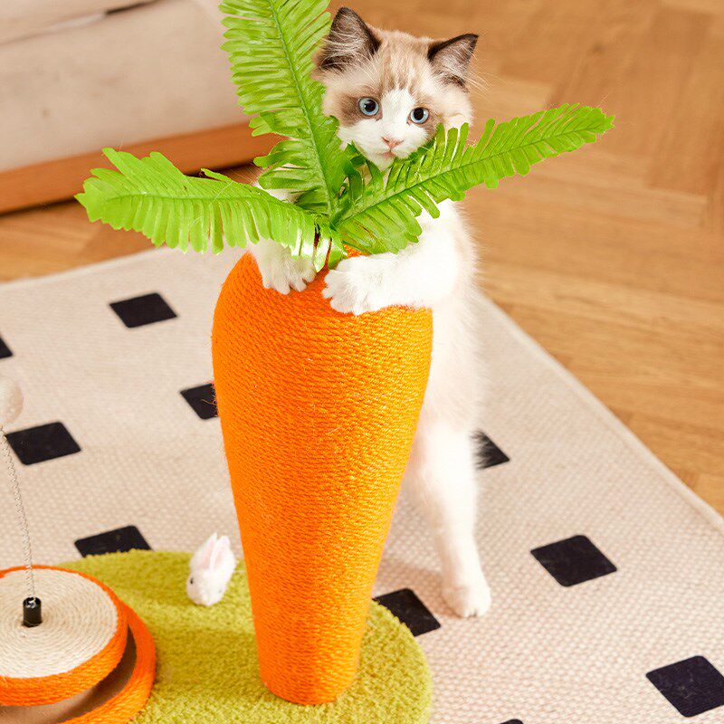 小型猫爬架猫树猫玩具一体幼猫爬高剑麻柱子猫抓板猫爬耐抓猫咪架