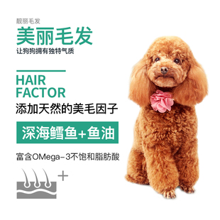 趣友狗粮 泰迪比熊博美柯基狗粮小型犬成犬通用型10美毛去泪痕3斤
