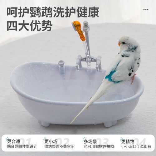 鹦鹉洗澡盆自动循环小鸟洗澡盆大号电动洗澡神器鹦鹉玩具解闷自嗨