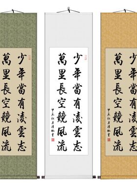 少年当有凌云志字画办公室书房装饰画手写书法中式励志卷轴挂画