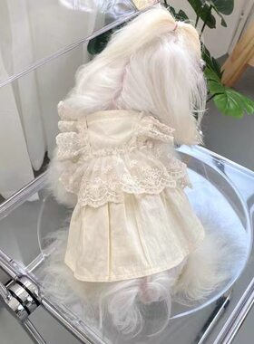 狗狗裙子小狗夏季春秋衣服宠物小型犬泰迪比熊博美茶杯犬猫咪薄款