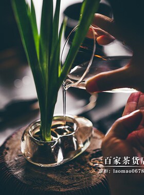 不二学古花器花小钱丨双晶 花留为双钱古币仿鹅卵石造型玻璃花瓶