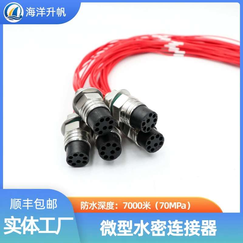 海洋升帆水密连接器微型2芯防水7000米密封插头湿插拔连接器 兼容