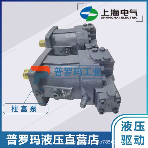 上海电气三一徐工旋挖桩机液压力士乐马达A6VM28HD1D/63W1100VZBO
