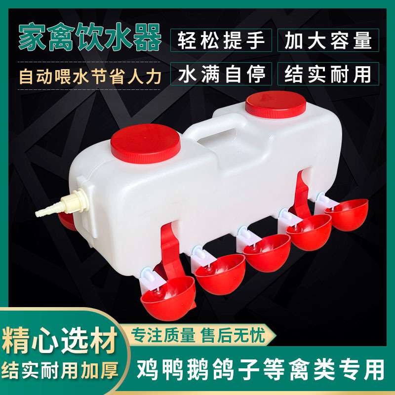 养殖鸡用自动饮水器散养家禽喂水壶鸡水桶鸭子喂水槽鹅用自动水碗