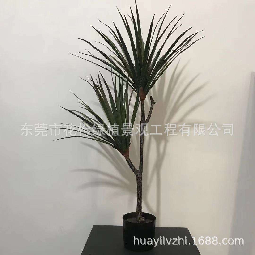 北欧高仿龙血树龙血铁千年木龙须树龙铁树仿真植物客厅酒店植物