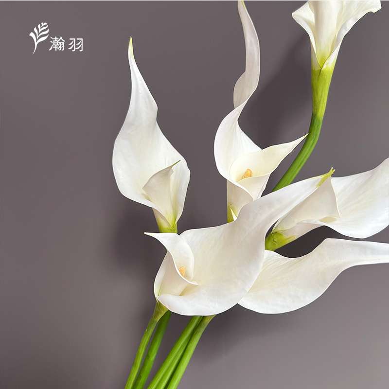 跨境婚庆手捧花材EVA大号马蹄莲仿真花 家居装饰花艺设计海芋