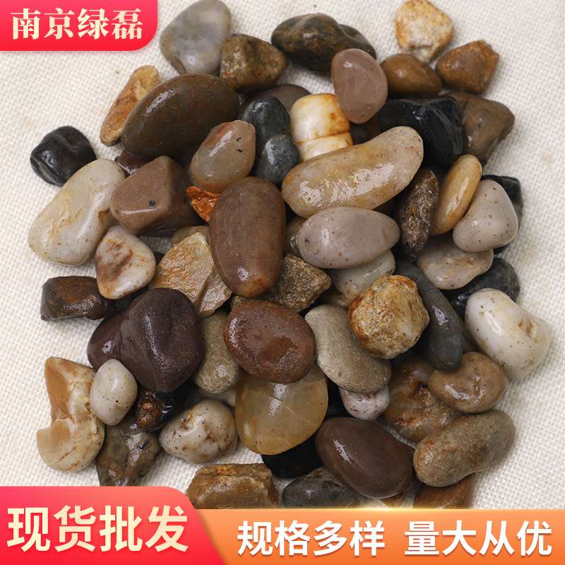 滤料豆石 厂家 污水处理水过滤地暖小石头 盆栽铺面回填石子