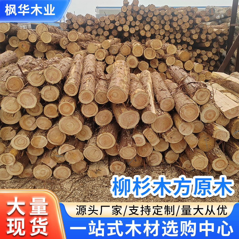 木材直销柳杉木方原木建筑木方源头工厂柳杉原木松树木板木条材料