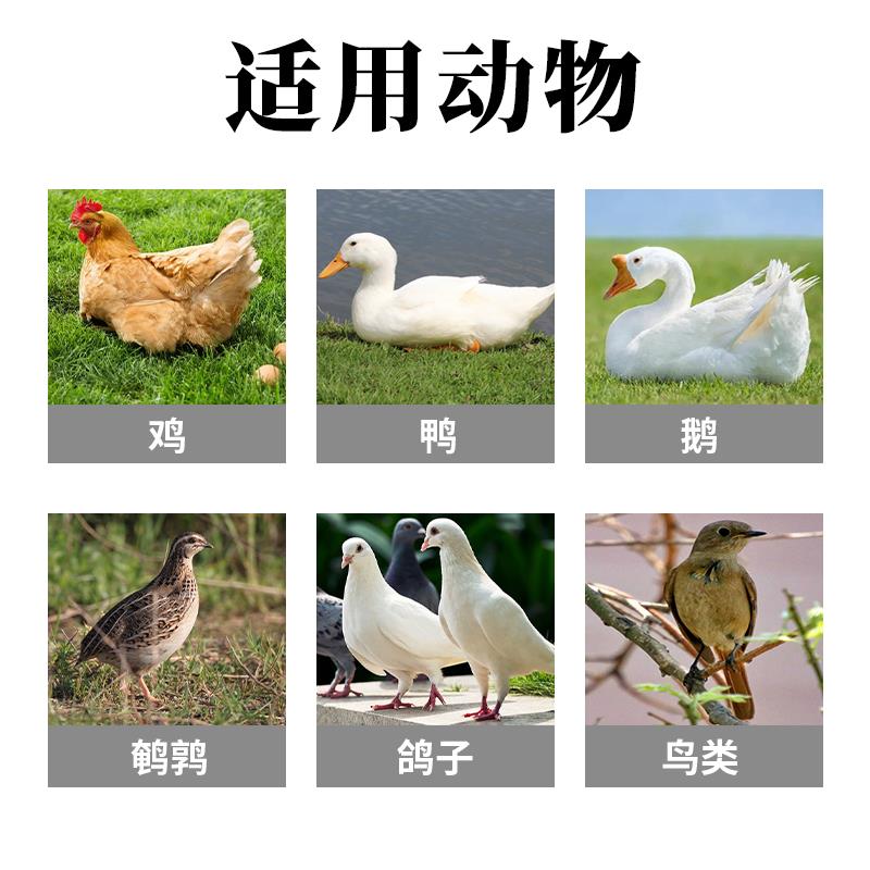 蛋多宝增蛋宝芦丁鸡鸭鹅鹌鹑产蛋灵专用催蛋素禽用下蛋饲料添加剂