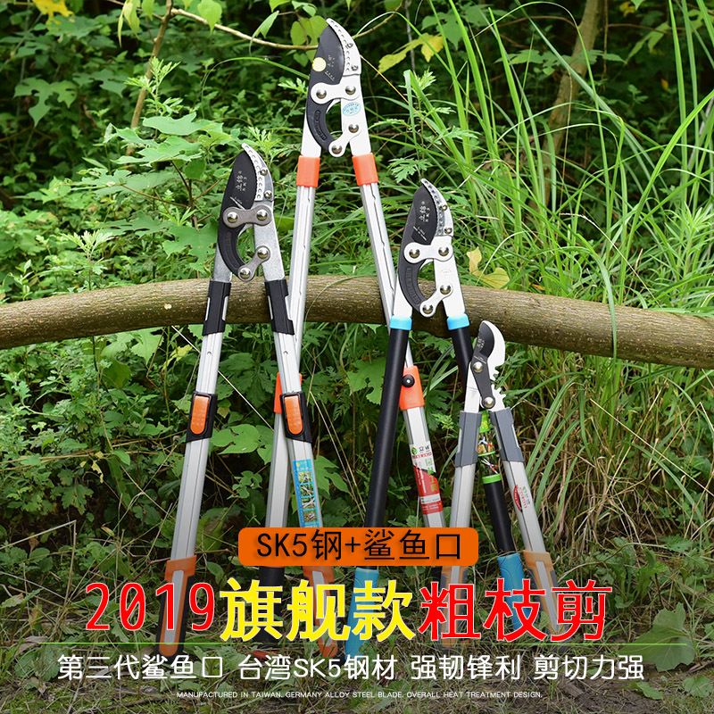 园艺伸缩粗枝剪大力剪园林强力剪树枝剪刀粗枝果树修枝剪省力枝剪