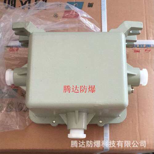 镇江BDH-L250w金卤灯防爆镇流器 防爆电器箱外壳 铸铝大电器盒
