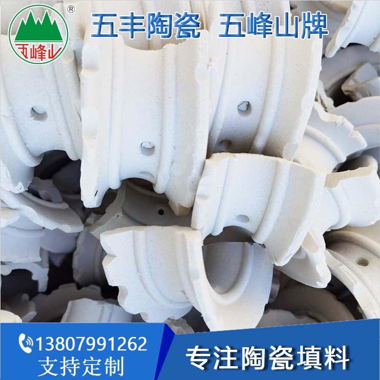 陶瓷异鞍环填料陶瓷异鞍环净化污水/废气陶瓷填料25/38/50