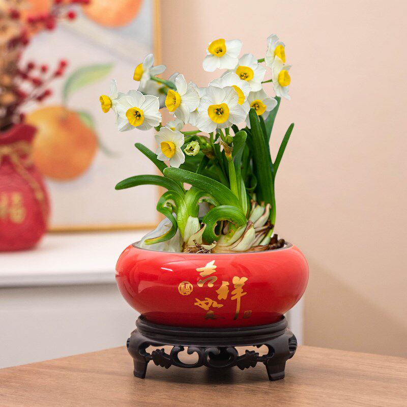 水仙花盆陶瓷水培器皿家用无孔带托盘中式大红色水养种植专用花盆图片