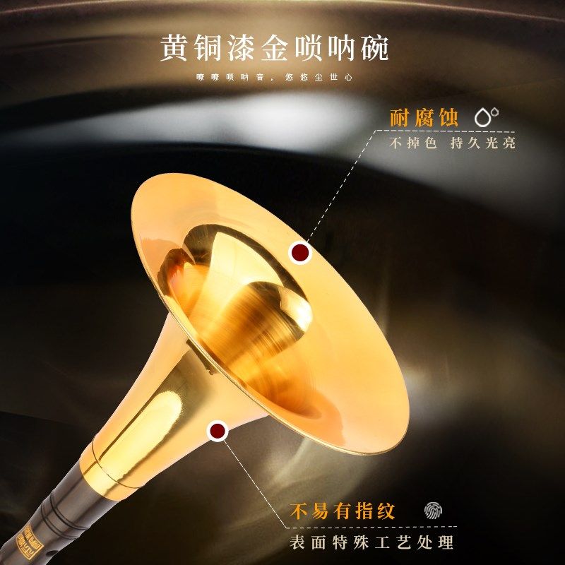 宏艺凤鸣网红款乌木唢呐乐器初学者专业演奏型唢呐全调喇叭