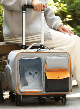 猫包外出便携宠物拉杆箱行李箱小型犬狗狗推车防应激猫咪双肩背包